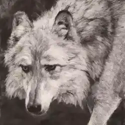 Odin 2